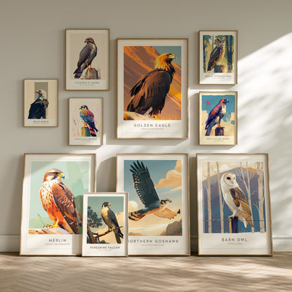 Birds of Prey - Raptors Gallery Wall | Bald Eagle | Set of 8 Framed Bird Prints