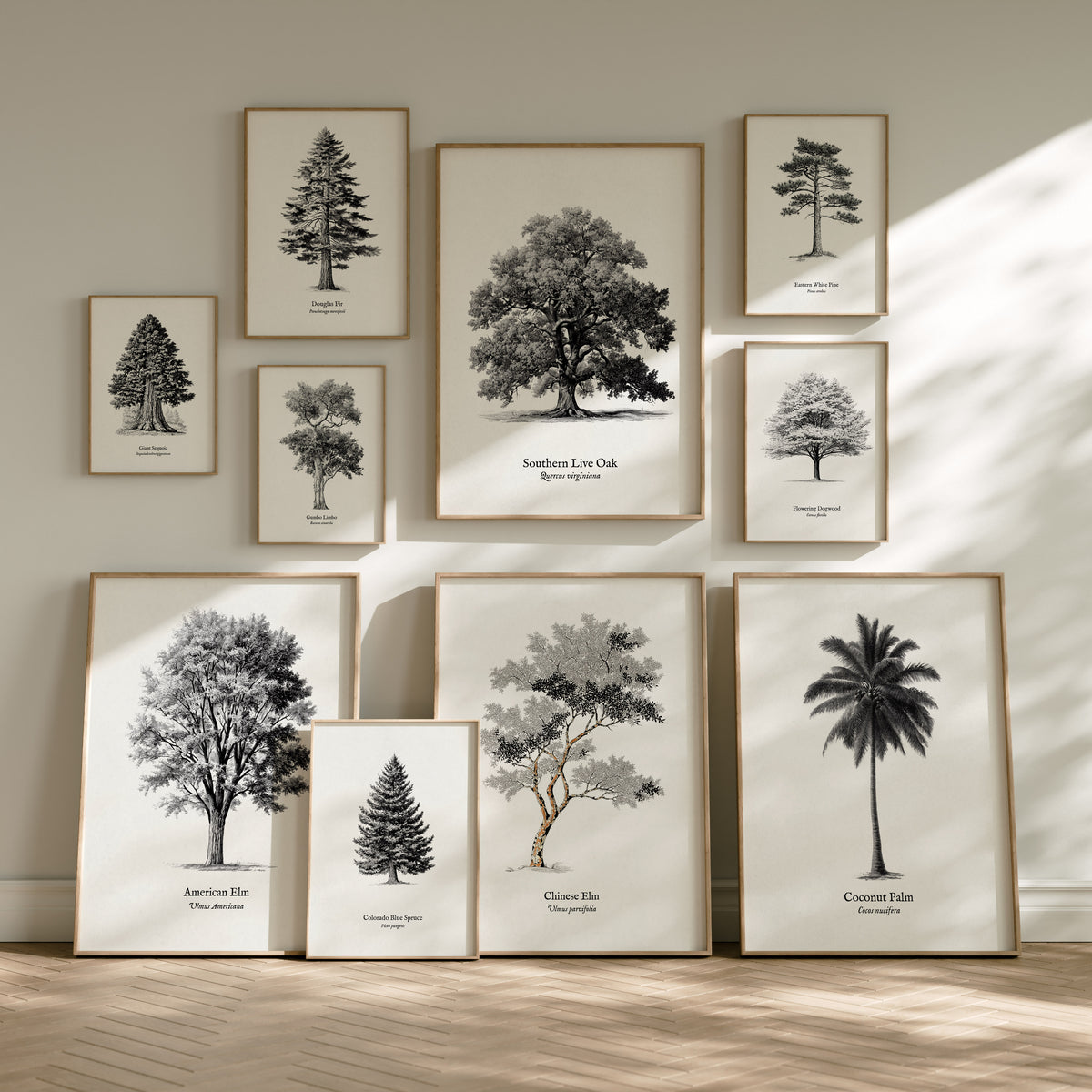 Trees Pen & Ink Gallery Wall | Banyan Tree & California Redwood | Set of 4 Framed Prints