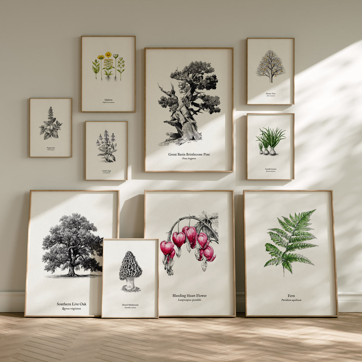Pen & Ink Flora Gallery Wall | Set of 3 | Pen and Ink Flora | Housewarming Gift