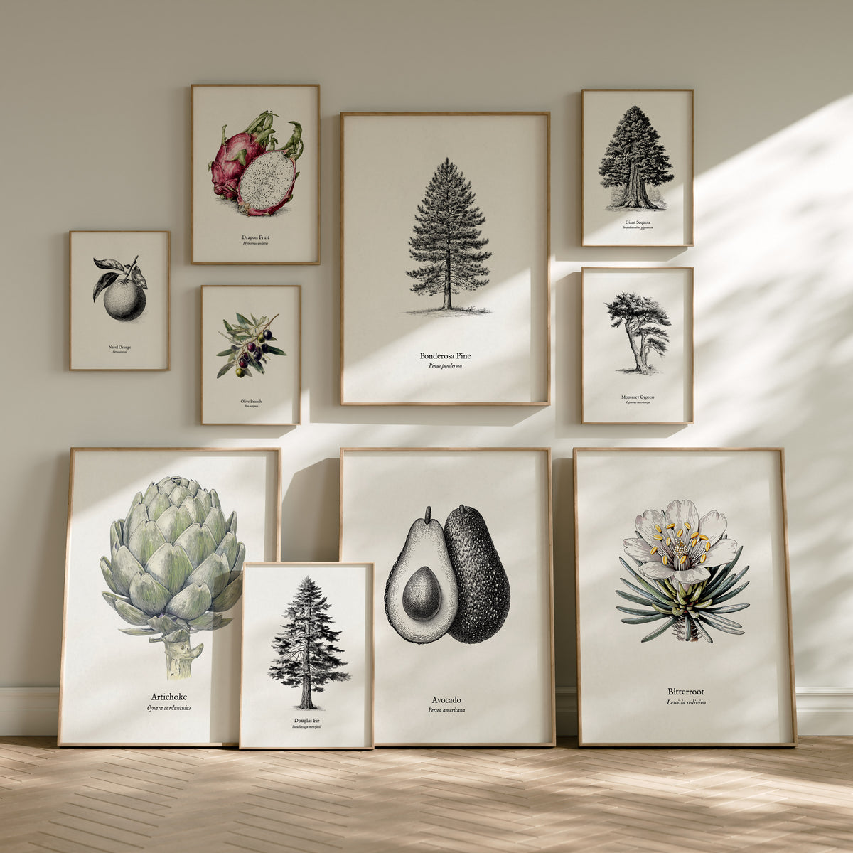 California Pen & Ink Gallery Wall | Joshua Tree & California Redwood | Set of 3 Framed Prints