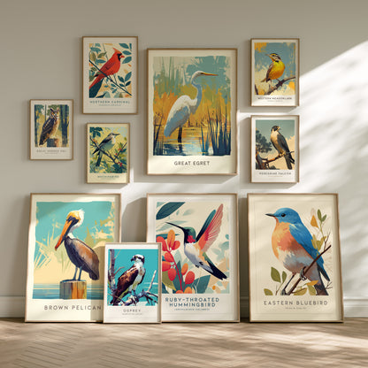 Audubon Birds Set | Framed Gallery Wall | Pick 8 | Varied Pre-Selected Sizes