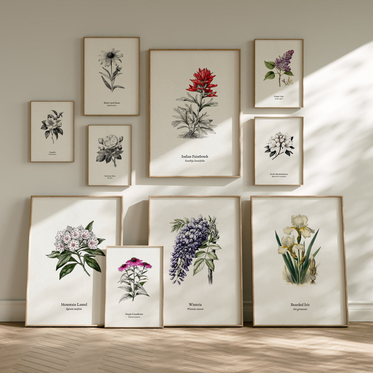 Flowers Pen & Ink Gallery Wall | Set of 8 | Botanical Prints | Large Wall Set
