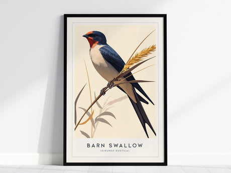 A framed print depicting a Barn Swallow perched on a branch, featuring its distinctive blue and orange plumage, against a neutral background with minimalistic plant elements.
