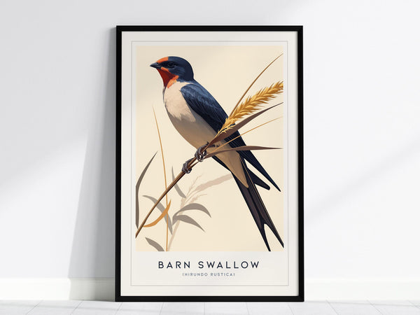 A framed print depicting a Barn Swallow perched on a branch, featuring its distinctive blue and orange plumage, against a neutral background with minimalistic plant elements.