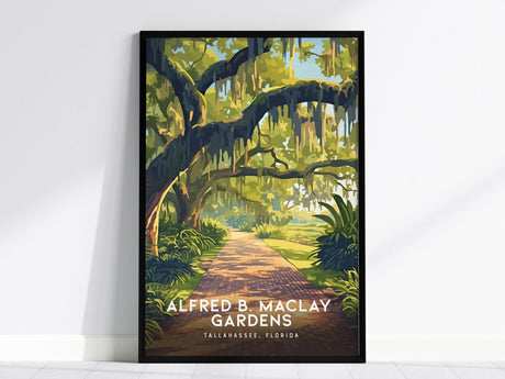 A framed poster featuring a vibrant illustration of Alfred B. Maclay Gardens, showcasing moss-draped live oak trees and a winding brick path. Text reads Alfred B. Maclay Gardens, Tallahassee, Florida.