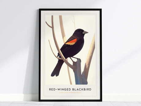 A framed poster of a red-winged blackbird perched on branches, featuring its distinctive scarlet and golden wing patches against a minimalist background. The text below identifies the bird species.