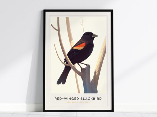 Red-Winged Blackbird Poster