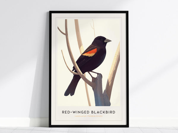 A framed poster of a red-winged blackbird perched on branches, featuring its distinctive scarlet and golden wing patches against a minimalist background. The text below identifies the bird species.