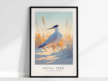 Framed poster featuring an illustration of a Royal Tern standing among beach grasses, with a serene coastal background. The artwork title Royal Tern (Thalasseus maximus) is displayed below.