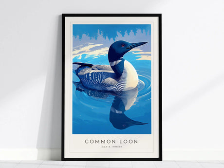 Framed poster of a Common Loon with striking black-and-white plumage and a blue water background, reflecting the birds serene presence. Text below reads Common Loon (Gavia immer).