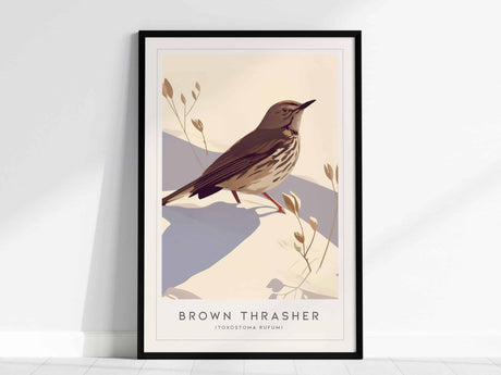 Framed print of a Brown Thrasher standing on a light background with stylized plants. The artwork emphasizes the birds detailed plumage and elegant posture.