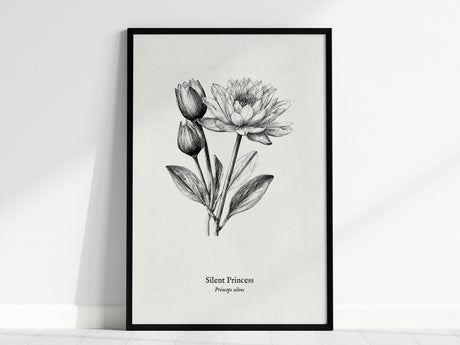 Silent Princess Poster | Princeps Silens Pen and Ink Print Vintage Scientific Illustration Wall Art — framed wall art, 24x36
