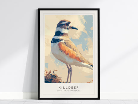 Killdeer Poster | Shorebird on Sunlit Meadow Wall Art — framed wall art, 24x36 in