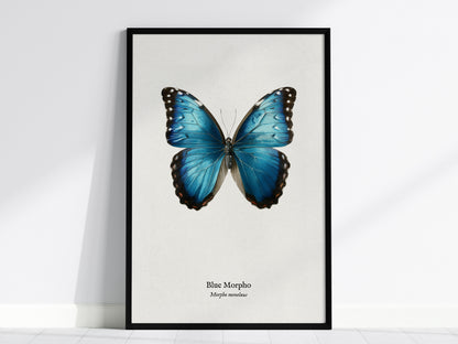 Feature 01 24X36