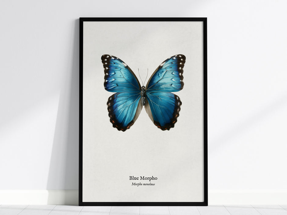 Feature 01 24X36