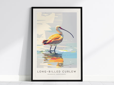 Long-billed Curlew, Numenius americanus Poster | Shorebird Wildlife Print Wall Art — framed wall art, 24x36 in