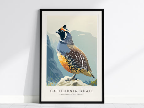 California Quail Poster | Golden State Bird Illustration Wall Art — framed wall art, 24x36 in