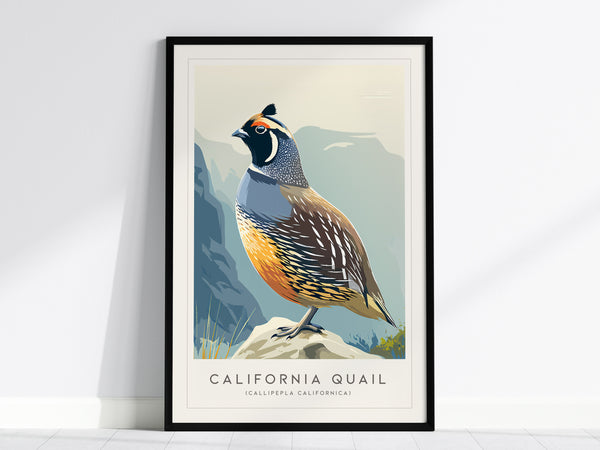 California Quail Poster | Golden State Bird Illustration Wall Art — framed wall art, 24x36 in