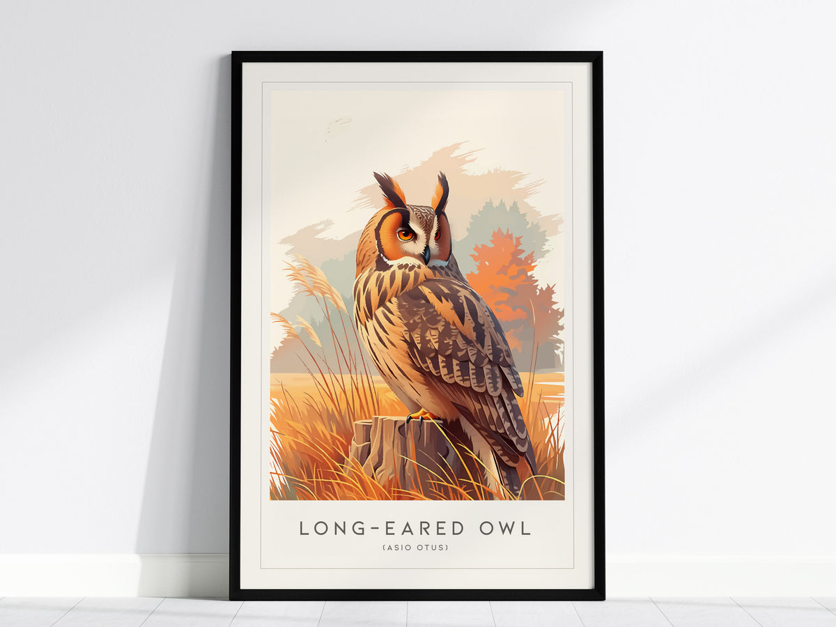 Long-eared Owl, Asio otus Poster | Mysterious Forest Raptor Bird Wall Art — framed wall art, 24x36 in