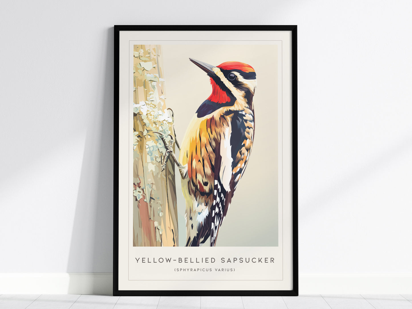 Yellow-bellied Sapsucker, Sphyrapicus varius Poster | Woodland Bird Wall Art — framed wall art, 24x36 in