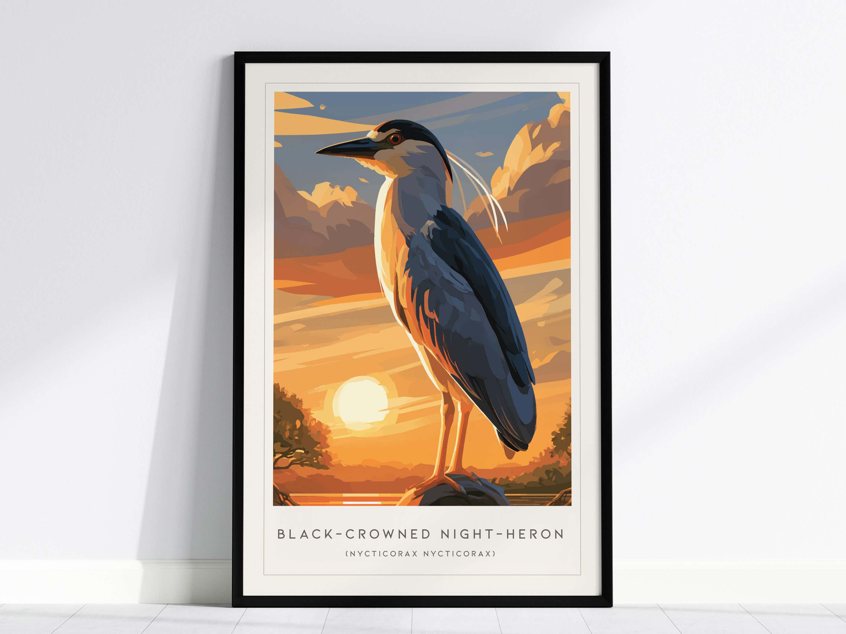 展示美品 TIME＆STYLE night bird シングル Black-crowned Night-Heron, Nycticorax nycticorax Poster | Elegant