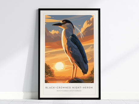 Black-crowned Night-Heron, Nycticorax nycticorax Poster | Elegant Wading Bird Wildlife Print Wall Art — framed wall art, 24x3