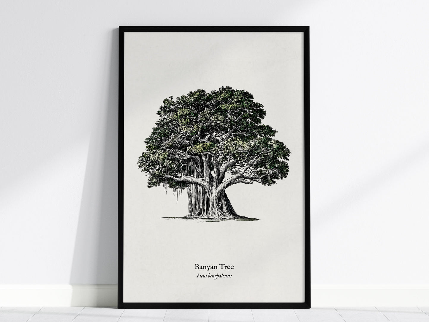 Banyan Tree Poster | Vintage Ficus benghalensis Botanical Illustration Wall Art — framed wall art, 24x36 in