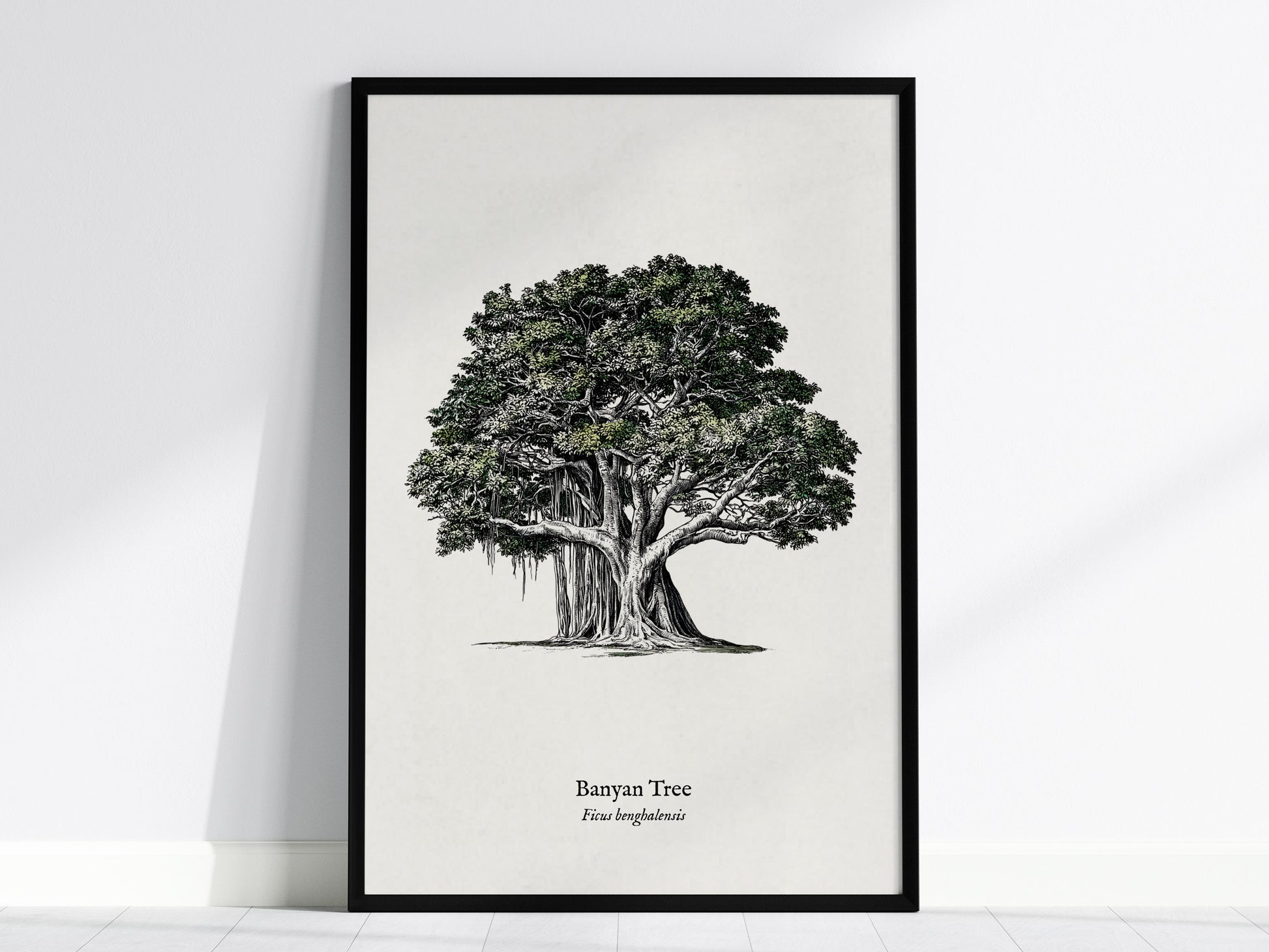 Banyan Tree Poster | Vintage Ficus benghalensis Botanical Illustration Wall Art — framed wall art, 24x36 in