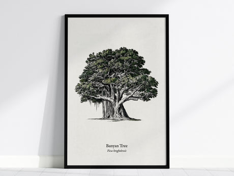 Banyan Tree Poster | Vintage Ficus benghalensis Botanical Illustration Wall Art — framed wall art, 24x36 in