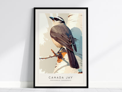 Canada Jay, Perisoreus canadensis Poster | Bold Boreal Bird Wall Art — framed wall art, 24x36 in