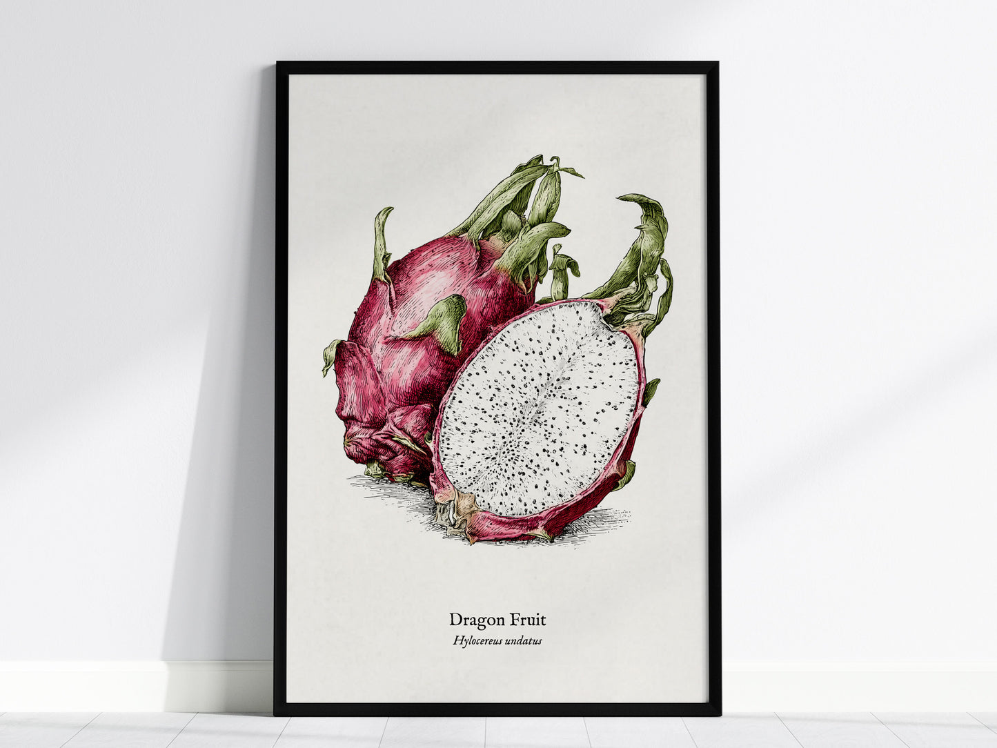 Dragon Fruit Poster | Vintage Hylocereus undatus Botanical Illustration Wall Art — framed wall art, 24x36 in