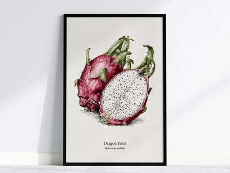 Dragon Fruit Poster | Vintage Hylocereus undatus Botanical Illustration Wall Art — framed wall art, 24x36 in