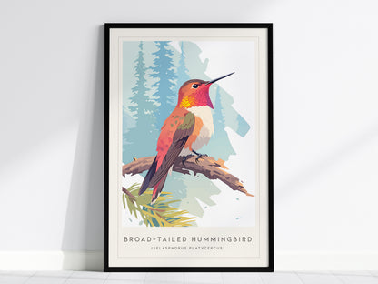 Broad-tailed Hummingbird, Selasphorus platycercus Poster | Vibrant Wildlife Print Nature Wall Art — framed wall art, 24x36 in