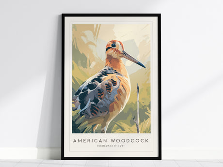American Woodcock Poster | Woodland Shorebird Nature Illustration Wall Art — framed wall art, 24x36 in