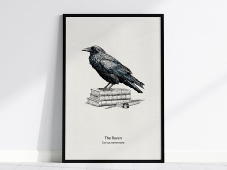 The Raven Poster | Corvus Nevermore Pen and Ink Print Zoological Illustration Wall Art — framed wall art, 24x36 in