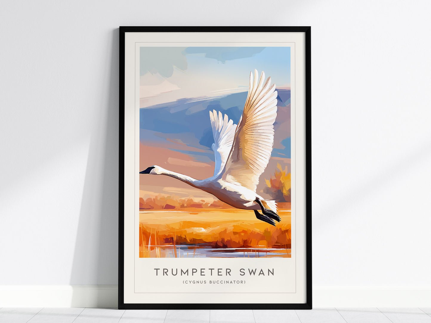 Trumpeter Swan Poster | Elegant Waterbird in Winter Calm Wall Art — framed wall art, 24x36 in