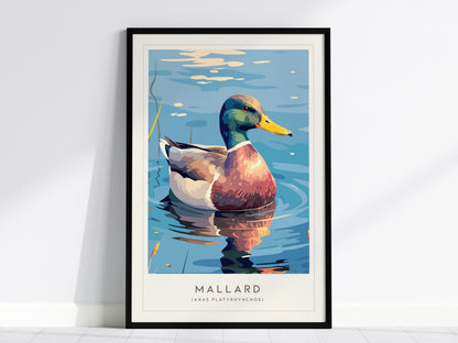 Mallard Poster | Graceful Duck on Tranquil Waters Wall Art — framed wall art, 24x36 in
