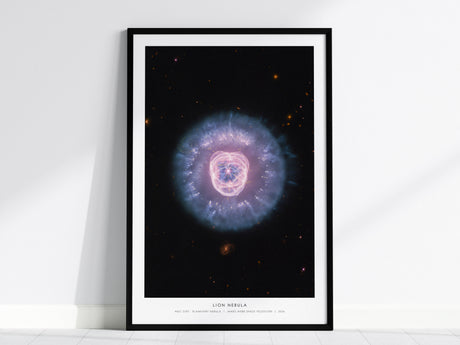 Feature 01 24X36