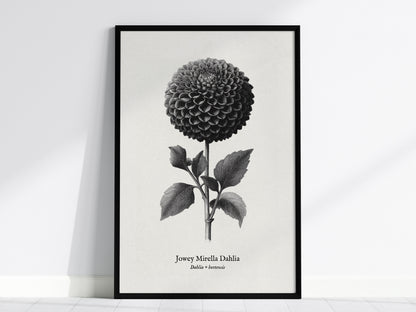 Feature 01 24X36