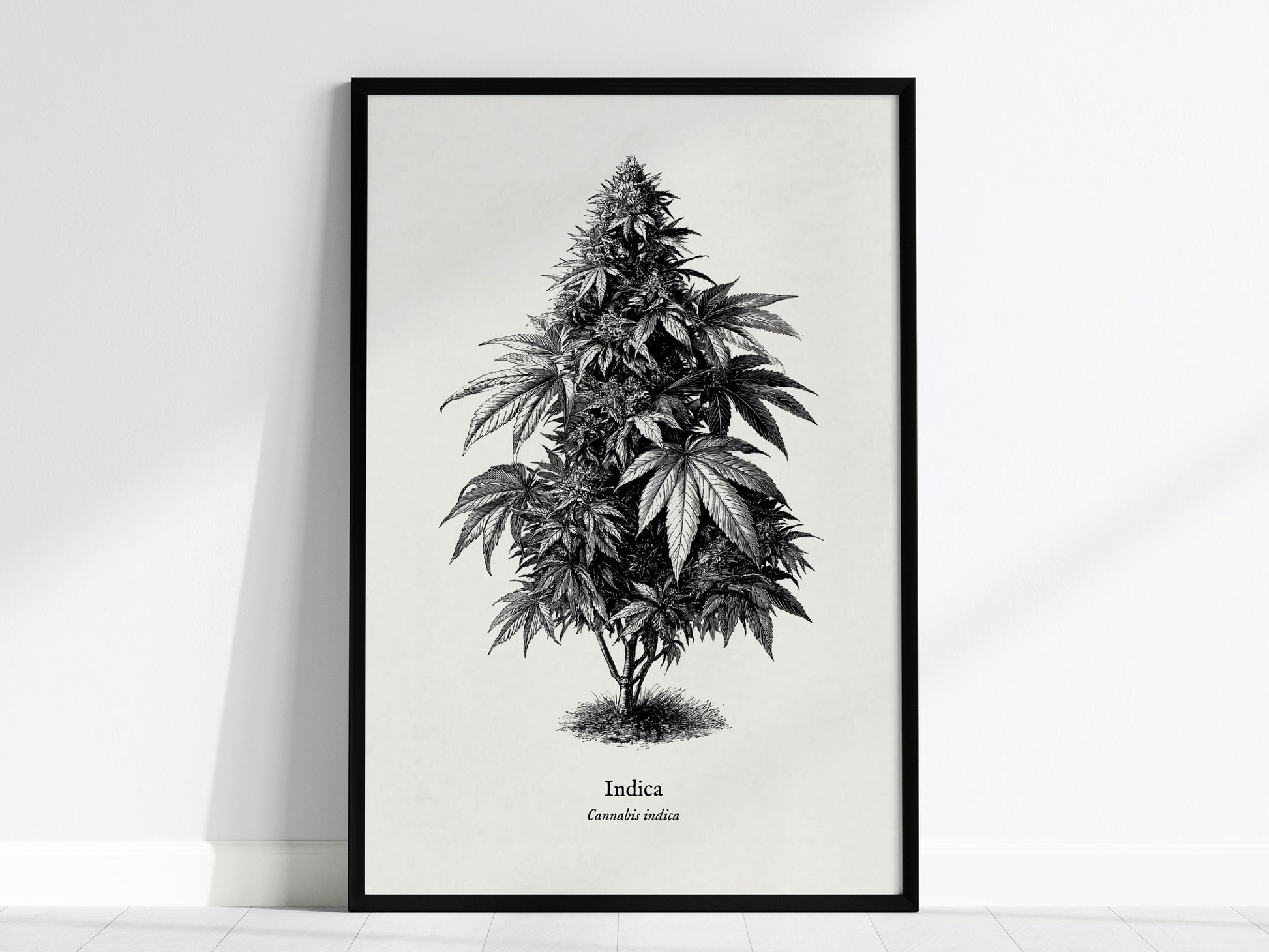 Feature 01 24X36
