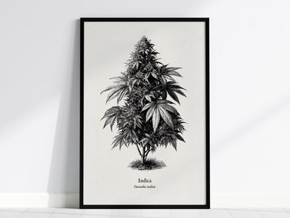 Feature 01 24X36