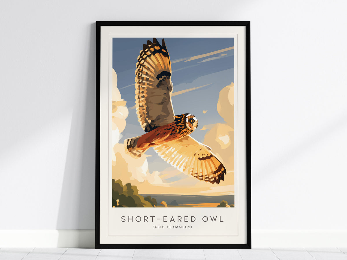 Short-eared Owl, Asio flammeus Poster | Raptor Wildlife Print Nature Wall Art — framed wall art, 24x36 in