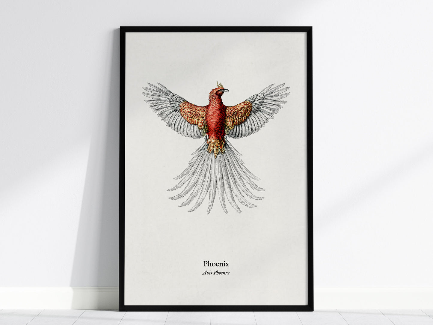 Phoenix Poster | Vintage Avis Phoenix Zoological Illustration Wall Art — framed wall art, 24x36 in