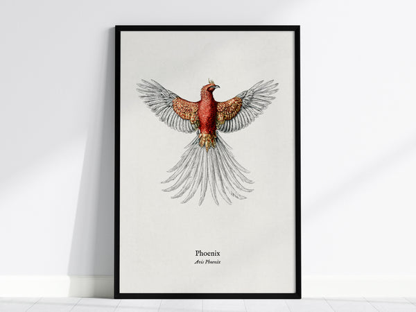 Phoenix Poster | Vintage Avis Phoenix Zoological Illustration Wall Art — framed wall art, 24x36 in