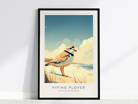 Piping Plover, Charadrius melodus Poster | Shorebird Nature Poster Wall Art — framed wall art, 24x36 in