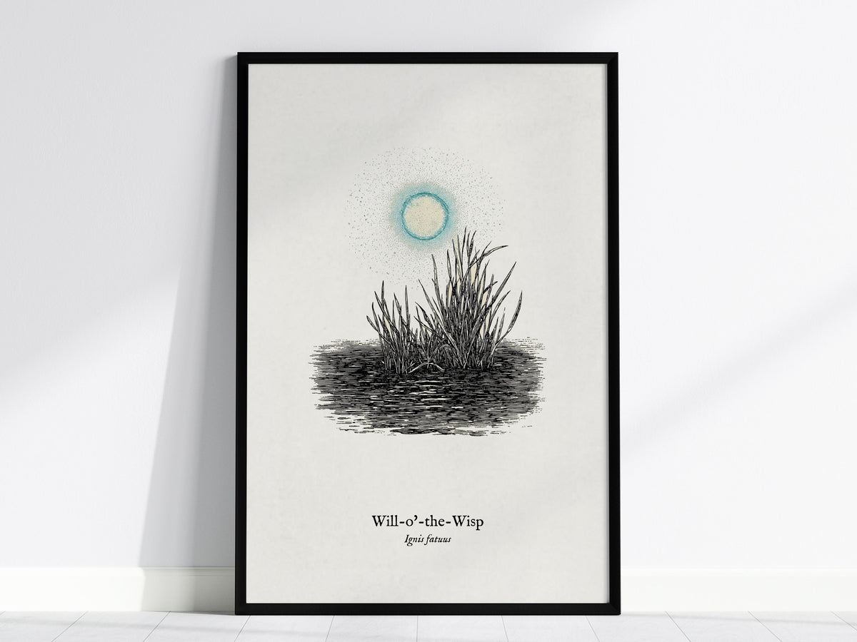 Will-o'-the-Wisp Poster | Ignis Fatuus Pen and Ink Print | Vintage Scientific Illustration Wall Art — framed wall art, 24x36
