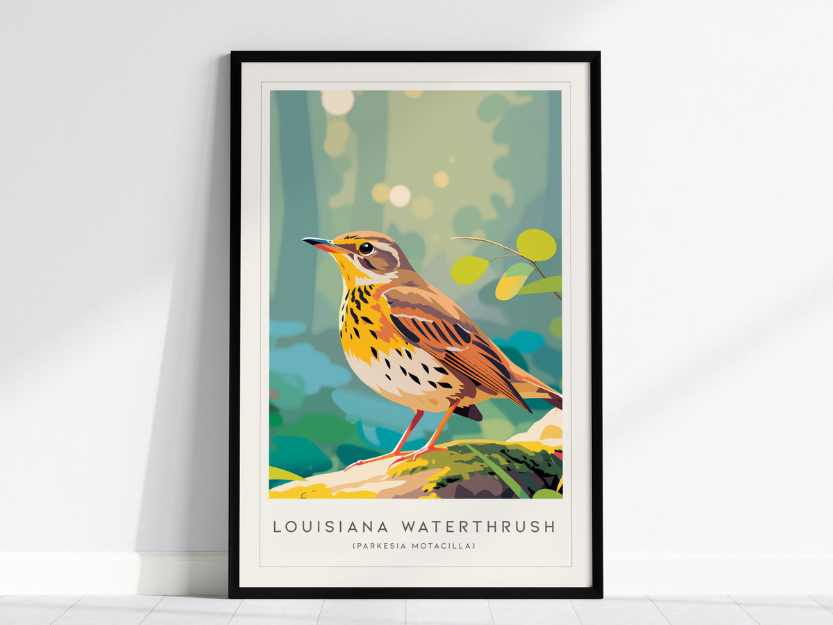 Louisiana Waterthrush, Parkesia motacilla Poster | Streamside Songbird Nature Wall Art — framed wall art, 24x36 in