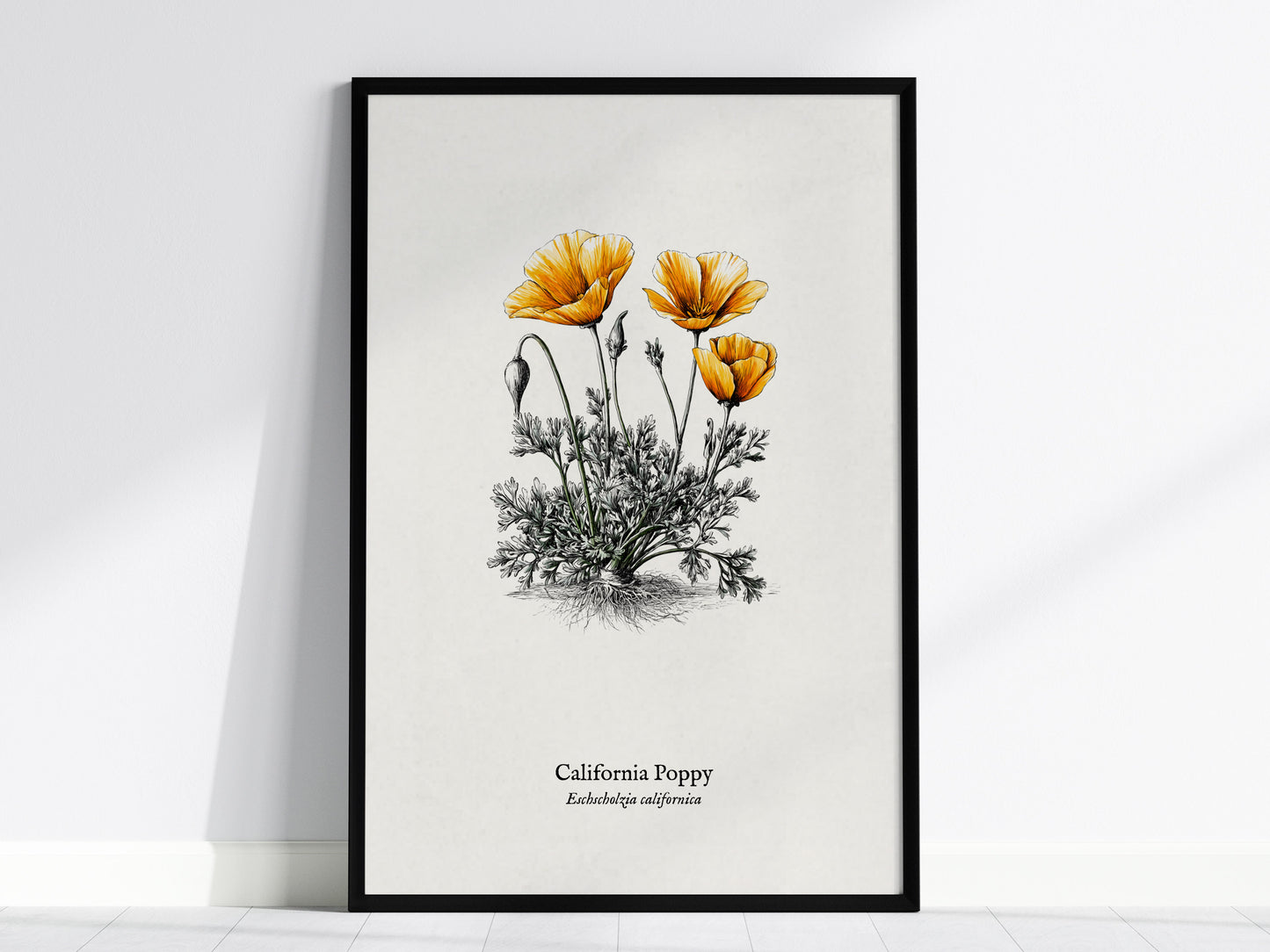 California Poppy Poster | Vintage Eschscholzia californica Botanical Illustration Wall Art — framed wall art, 24x36 in