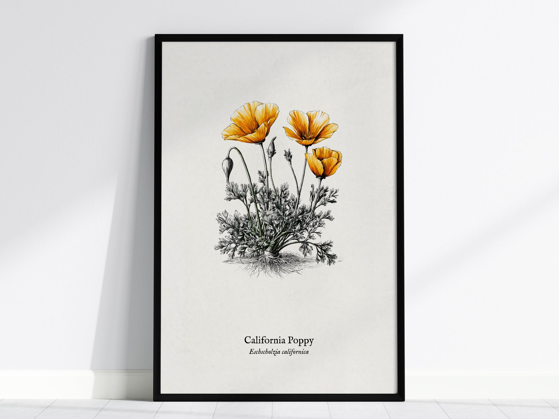 California Poppy Poster | Vintage Eschscholzia californica Botanical Illustration Wall Art — framed wall art, 24x36 in