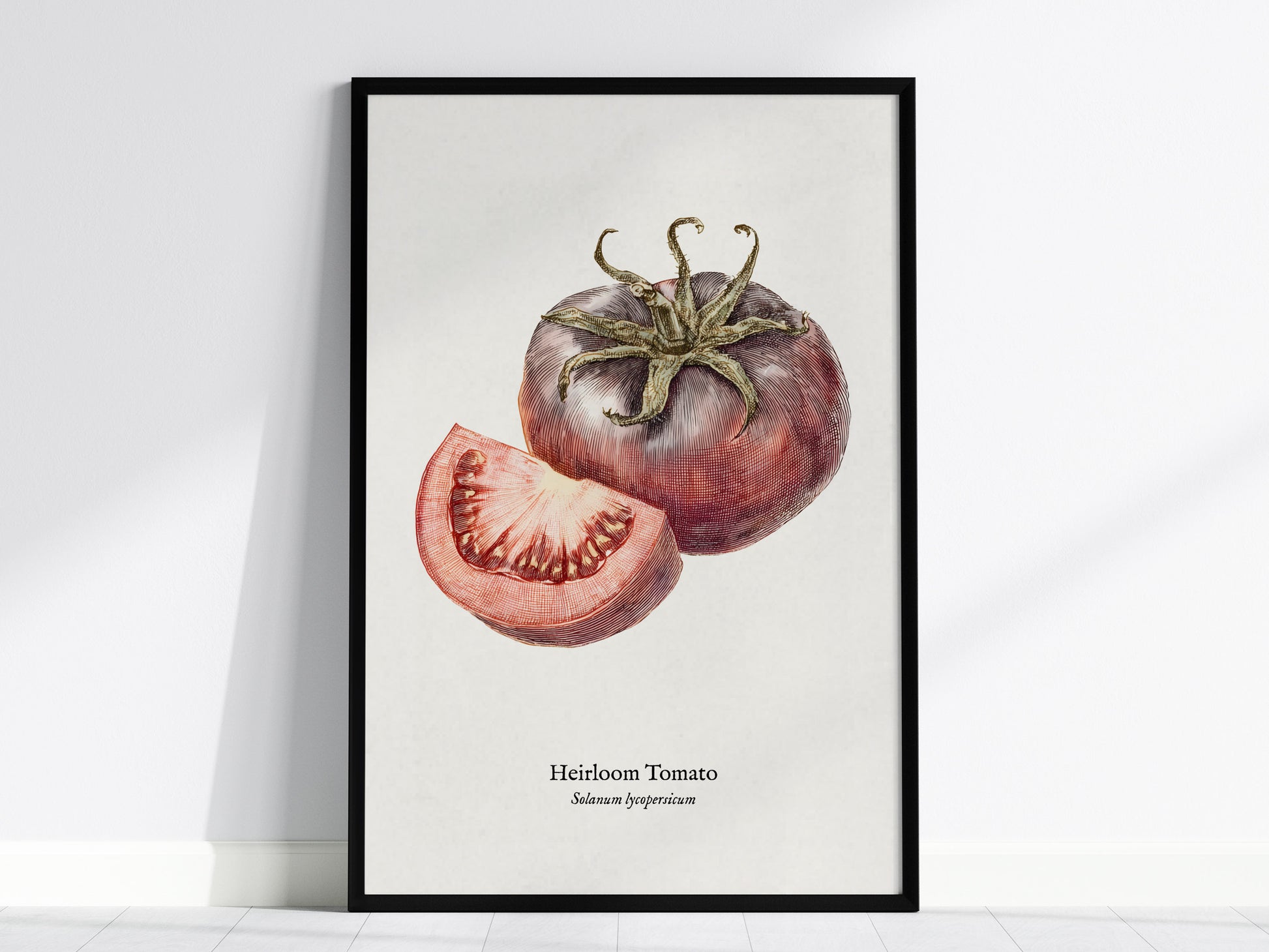 Heirloom Tomato Poster | Vintage Solanum Lycopersicum Botanical Illustration Wall Art — framed wall art, 24x36 in